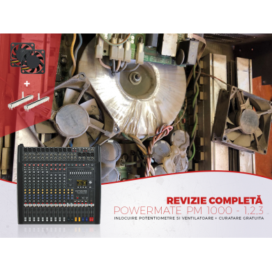 Revizie completa PM 1000