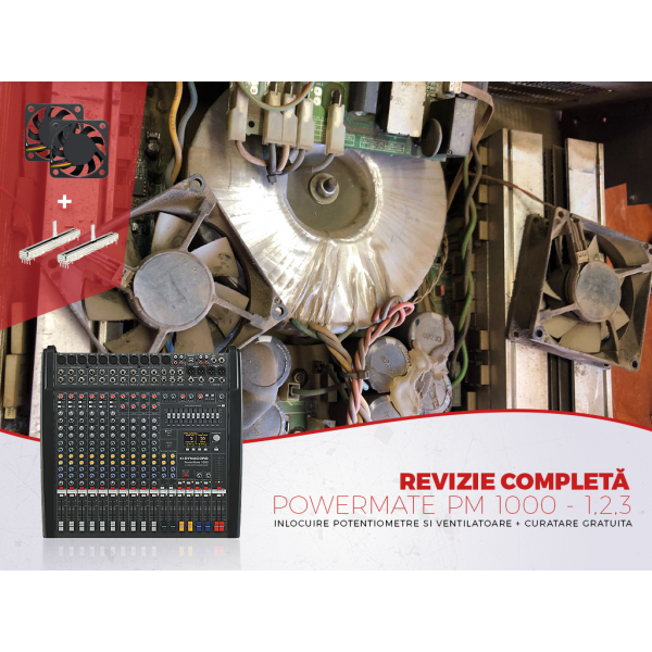 Revizie completa PM 1000